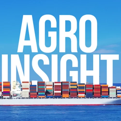 Mapa lança banco de dados do AgroInsight com oportunidades de exportação identificadas por adidos agrícolas