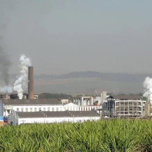  Agronegócio fornece 29% de toda a energia do país, revela estudo do Observatório de Bioeconomia da FGV