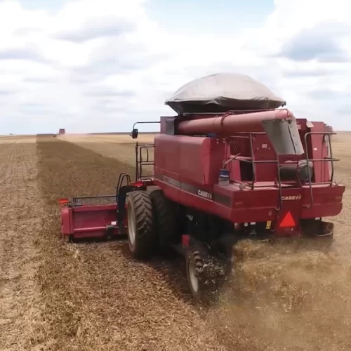 Agropecuária puxa resultado positivo do PIB 2025