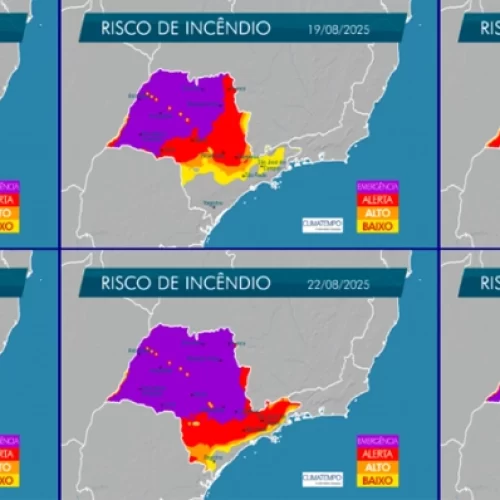 Alerta para risco de incêndios em São Paulo devido a ventos fortes e veranico