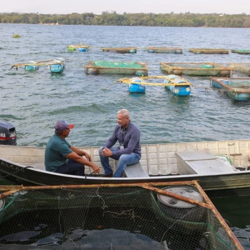 Alesp aprova projeto que fortalece fundo de apoio a pequenos e médios produtores rurais