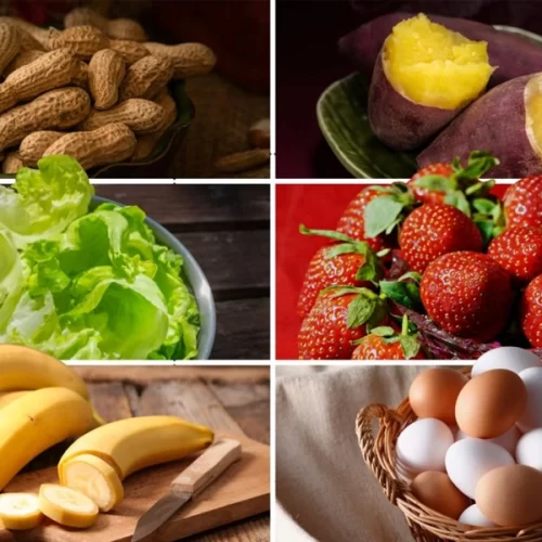 Do campo ao treino: São Paulo lidera produção de alimentos que abastecem o mundo fitness