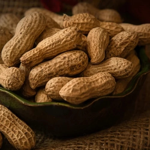 Mapa instala Câmara Setorial da Cadeia Produtiva de Amendoim do Conselho Nacional de Política Agrícola
