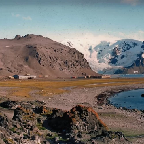 Instituto de Pesca integra consórcio internacional que investigará resistência antimicrobiana e nanoplásticos na Antártica
