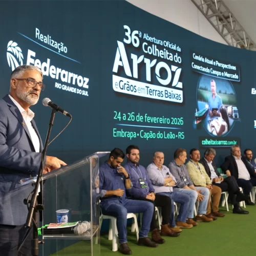 Arroz gaúcho enfrenta cenário desafiador e setor pede crédito, seguro e equidade regulatória