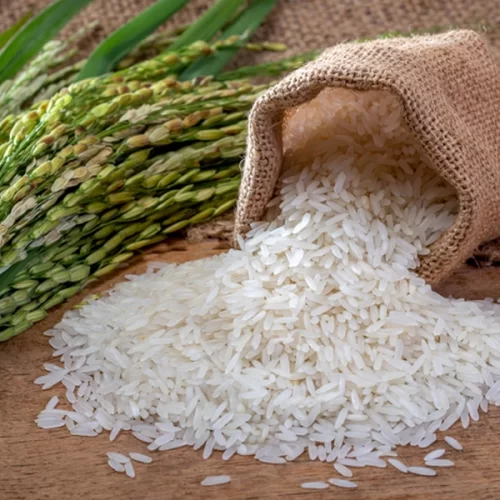 Mapa discute demandas do setor orizícola do Rio Grande do Sul com entidades instituições financeiras