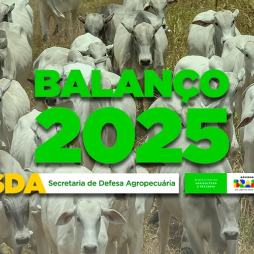 Ano histórico para a defesa agropecuária consolida o Brasil como referência mundial em sanidade animal