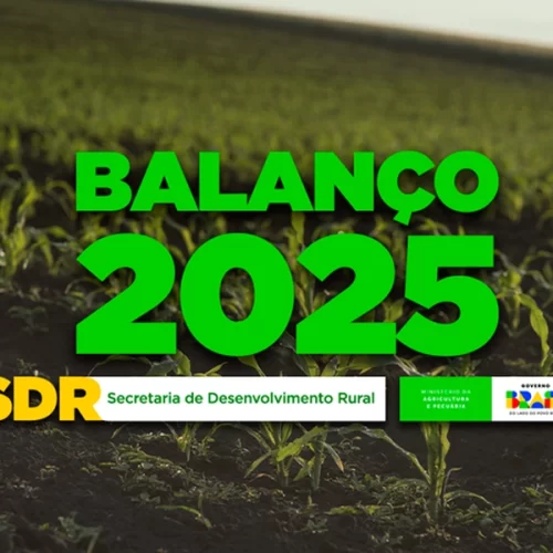 Mapa avança em sustentabilidade, inovação, territorialidade e fortalecimento das cadeias produtivas