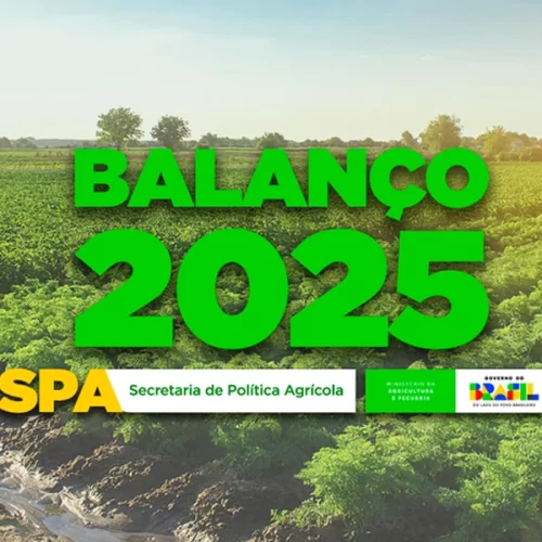 No ano da colheita, políticas de investimento em crédito rural, financiamento privado e comercialização marcaram o 2025 do Mapa