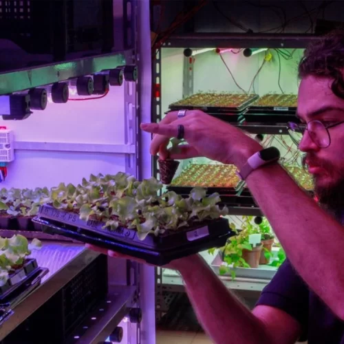 Balanço Social da APTA revela retorno de R$ 19,50 para cada R$ 1 investido em pesquisa pública