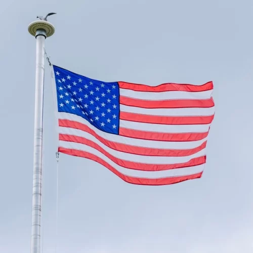 Biocombustíveis absorverão mais da metade da produção de óleo de soja dos EUA, diz USDA