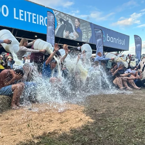 Vaca recordista volta a vencer na Expointer e consagra trajetória de títulos no concurso leiteiro