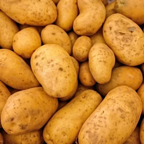 Novos zoneamentos climáticos vão ampliar a produção de batata voltada ao mercado e à indústria