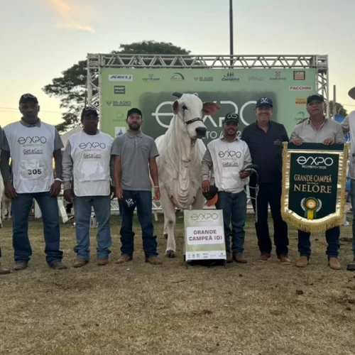 Bellatriz FIV CBA é a grande campeã da EXPO Rio Preto 2025