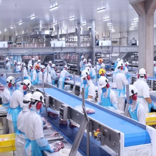 Better Group é o primeiro grupo frigorífico do Brasil a receber a certificação 2030 TODAY, alinhada aos ODS (ONU)