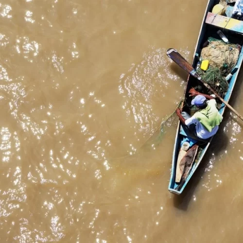 Instituto de Pesca destaca a importância do Dia Mundial da Pesca e da Luta pela Pesca Artesanal