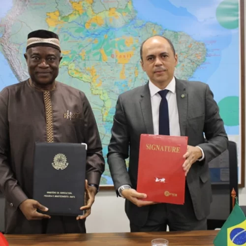 Brasil e Camarões assinam acordo bilateral para fomentar avanços e sustentabilidade na produção cacaueira