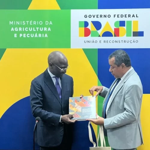 Brasil e Senegal discutem cooperação agrícola para promoção da segurança alimentar