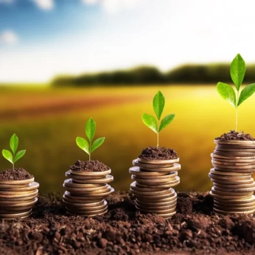 Crédito rural cresce 7% no Plano Safra 2025/2026 e totaliza R$ 354,4 bilhões contratados até fevereiro