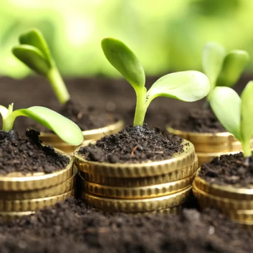 Mapa estabelece metodologia para avaliar perdas de rendimento agrícola de municípios atingidos por intempéries climáticas