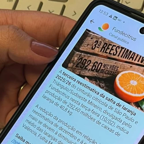Fundecitrus lança canal no WhatsApp para ampliar acesso a informações da citricultura