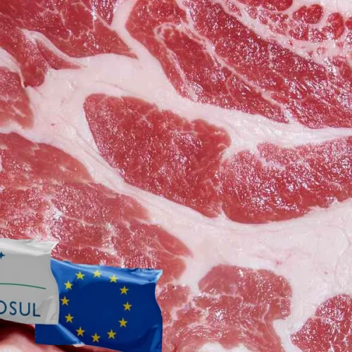 SUÍNOS/CEPEA: Acordo UE-Mercosul abre oportunidade para o BR; efeito deve ser limitado