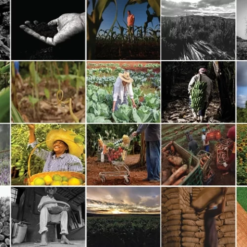 Premiação do Concurso Fotográfico Senar-SP será na próxima semana