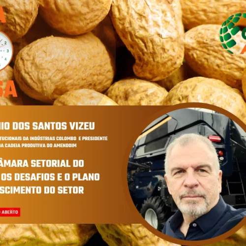 Câmara Setorial do Amendoim fortalece diálogo com governo e amplia perspectivas para o setor