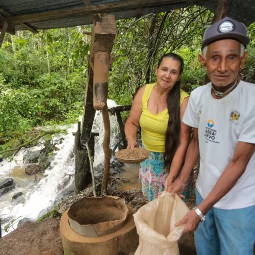 Café extraordinário: Casal de produtores de Barra do Turvo produz o melhor café do Estado