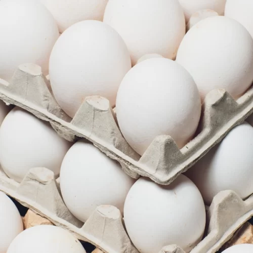 OVOS/CEPEA: Aumento dos preços favorece recuperação do poder de compra