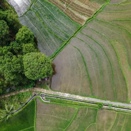 Referência nacional: CAR paulista inspira modernização do licenciamento no Brasil