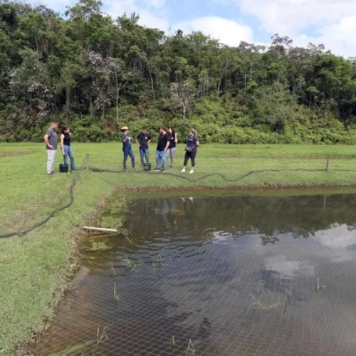 Campos experimentais e laboratórios da Apta Regional ao alcance da sociedade com a 4ª edição do “Apta Portas Abertas”