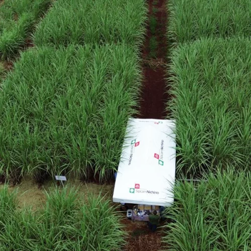 Sipcam Nichino e Luxembourg Industries Ltd. firmam parceria estratégica para a comercialização do herbicida Volcane® no Brasil