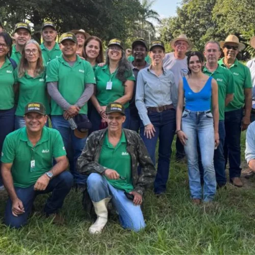 Capacitação reforça combate a doenças da citricultura em Uberlândia (MG)