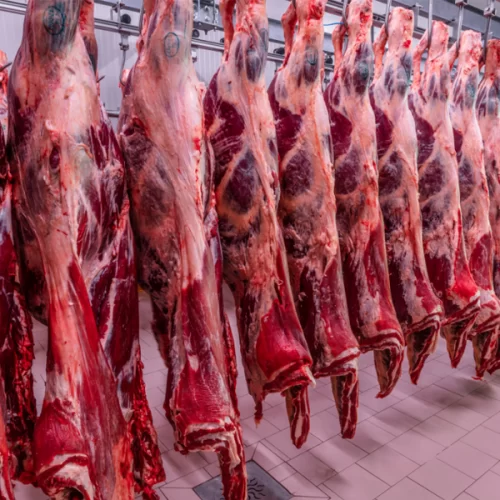 Vietnã habilita mais quatro frigoríficos brasileiros para exportar carne bovina