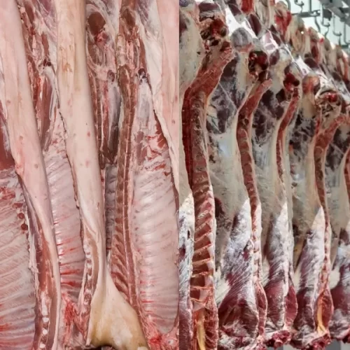 SUÍNOS/CEPEA: Competitividade da carne suína frente à bovina cresce