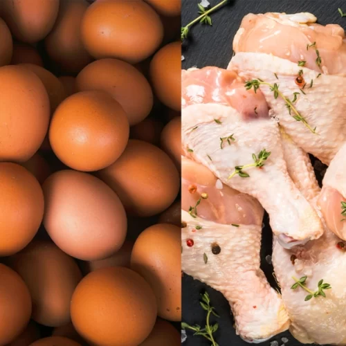 União Europeia confirma em carta oficial o retorno do pre-listing para estabelecimentos brasileiros de carne de aves e ovos