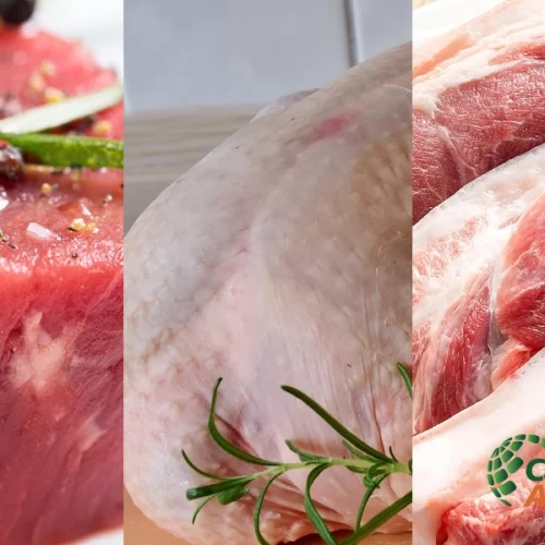 Superior a US$9 bi, receita cambial das carnes quase dobra em relação ao primeiro dos anos 2020