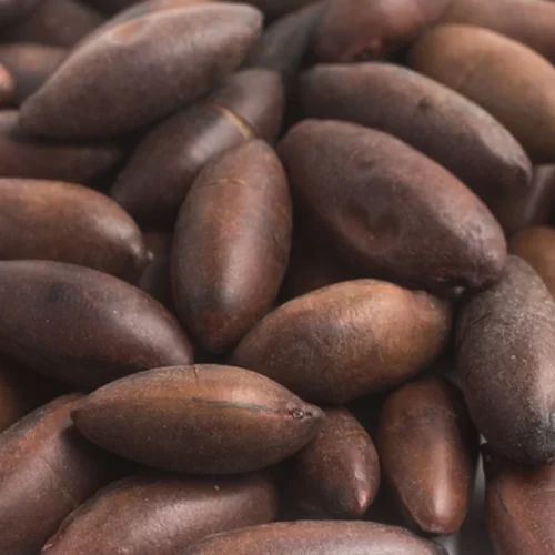 Abertura de mercado na União Europeia para castanhas de Baru