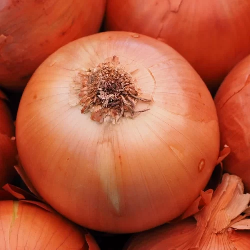 CEBOLA/CEPEA: Preços sobem até 50% na semana