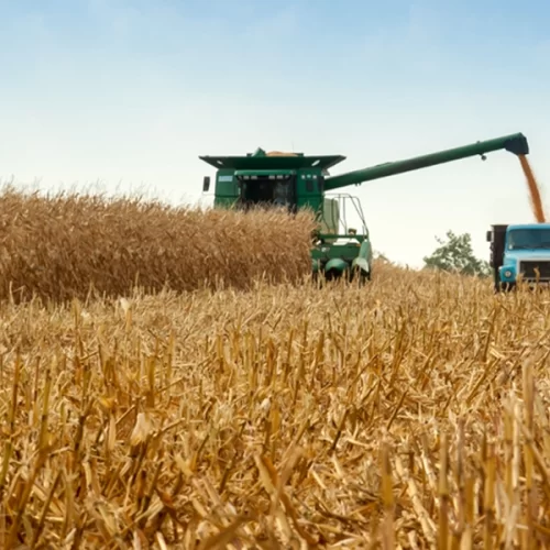 Recursos das Cédulas de Produto Rural crescem 31% entre julho e outubro de 2025