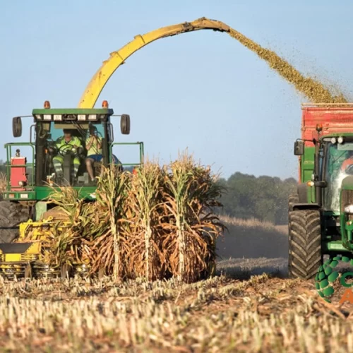 Resultado positivo do PIB no primeiro trimestre demonstra a força da agropecuária