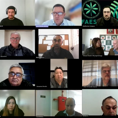 Comissões de Bovinocultura avaliam proposta de normativa