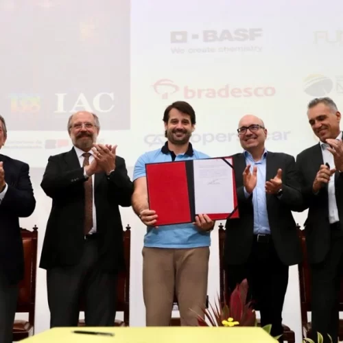 São Paulo anuncia chamamento de 37 novos pesquisadores do agro, primeira contratação em 20 anos