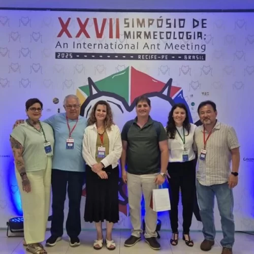 Coordenadora do Instituto Biológico é escolhida como uma das “rainhas pioneiras” do estudo das formigas no Brasil