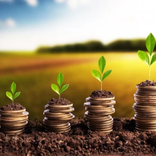 Desembolso rural do primeiro bimestre do Plano Safra 2025/2026