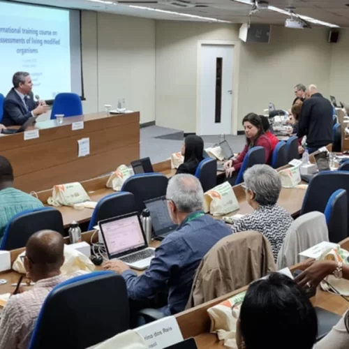 Mapa promove curso internacional sobre avaliação de risco de organismos geneticamente modificados