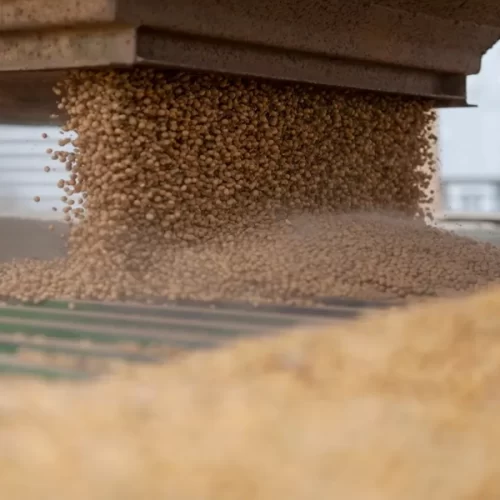 Trump afirma que a China retomará grandes compras de soja dos EUA