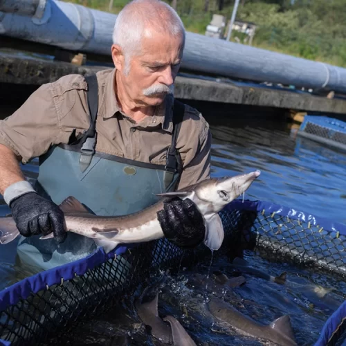 596,8 mil pessoas estavam ocupadas na agropecuária em São Paulo no 2º trimestre de 2025