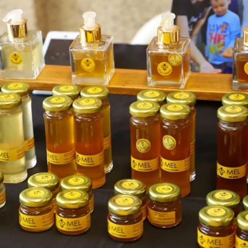 CATI realiza VII Dia Nacional da Abelha e III Dia Nacional da Agroecologia em Campinas